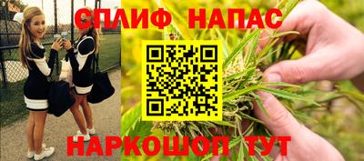 прущие грибы Гусиноозёрск
