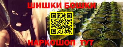 гидра Гусев