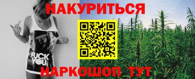 молекула духа Донской