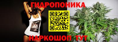 гидра Гусь-Хрустальный